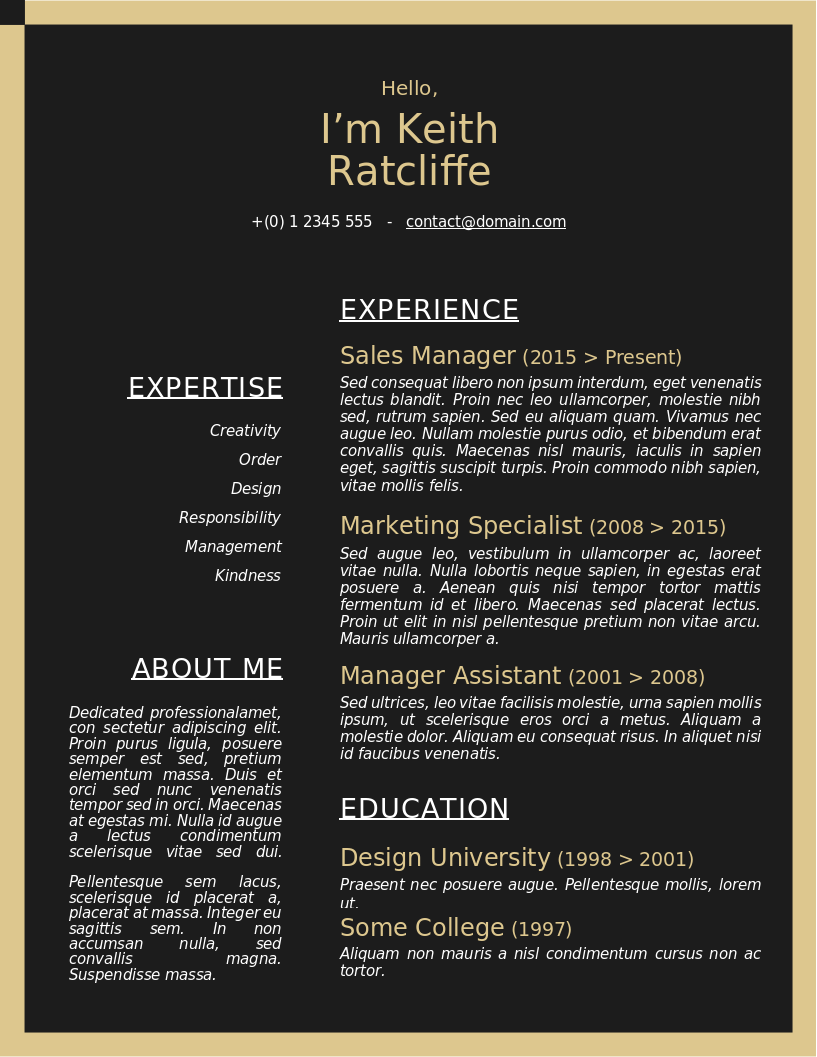 Contrast Success CV – Vorschau